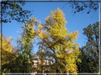 foto Giardini di Porta Venezia